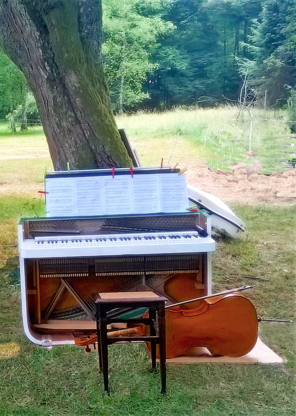 Klavier und Cello auf der Waldlichtung